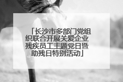 长沙市多部门党组织联合开展关爱企业残疾员工主题党日暨助残日特别活动