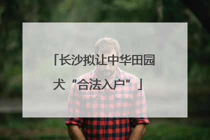 长沙拟让中华田园犬“合法入户”