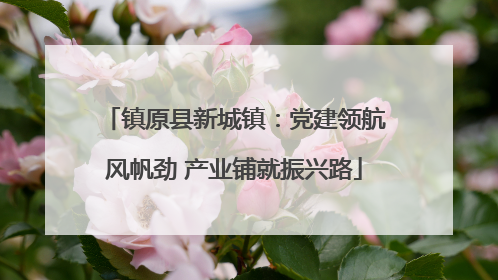 镇原县新城镇：党建领航风帆劲 产业铺就振兴路