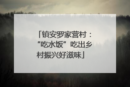 镇安罗家营村：“吃水饭”吃出乡村振兴好滋味