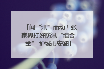 闻“汛”而动！张家界打好防汛“组合拳” 护城市安澜