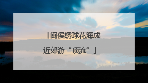闽侯绣球花海成近郊游“顶流”