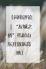 闪电评论｜“友城之桥”托起山东开放新高地