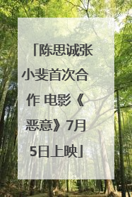 陈思诚张小斐首次合作 电影《恶意》7月5日上映