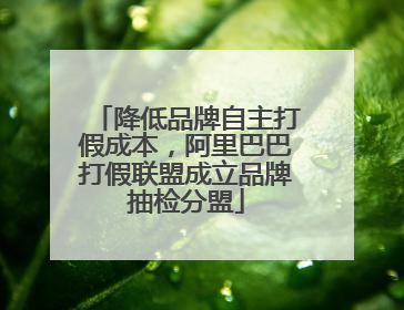降低品牌自主打假成本，阿里巴巴打假联盟成立品牌抽检分盟