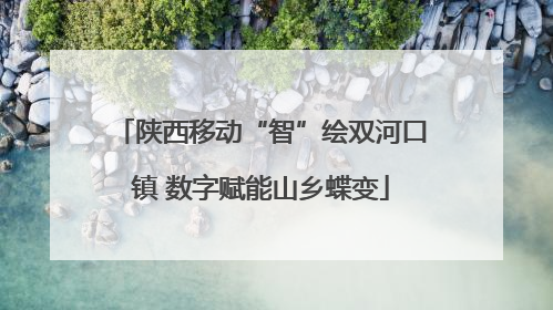 陕西移动“智”绘双河口镇 数字赋能山乡蝶变