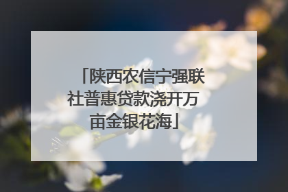 陕西农信宁强联社普惠贷款浇开万亩金银花海