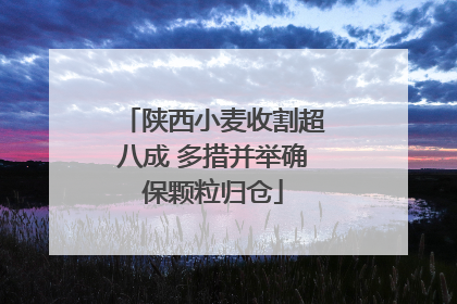 陕西小麦收割超八成 多措并举确保颗粒归仓