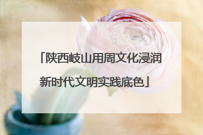 陕西岐山用周文化浸润新时代文明实践底色