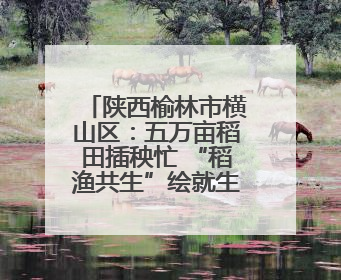 陕西榆林市横山区：五万亩稻田插秧忙 “稻渔共生”绘就生态富民新画卷
