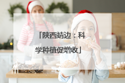 陕西靖边：科学种植促增收