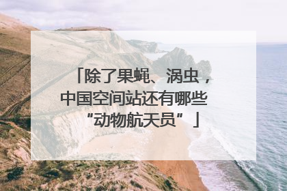 除了果蝇、涡虫，中国空间站还有哪些“动物航天员”