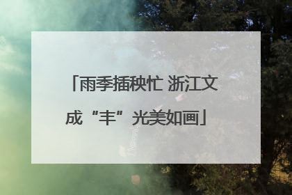 雨季插秧忙 浙江文成“丰”光美如画
