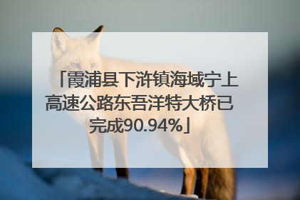 霞浦县下浒镇海域宁上高速公路东吾洋特大桥已完成90.94%