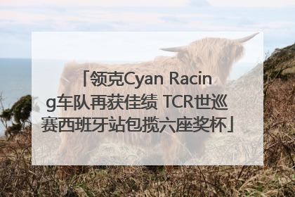 领克Cyan Racing车队再获佳绩 TCR世巡赛西班牙站包揽六座奖杯