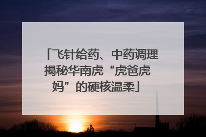 飞针给药、中药调理 揭秘华南虎“虎爸虎妈”的硬核温柔