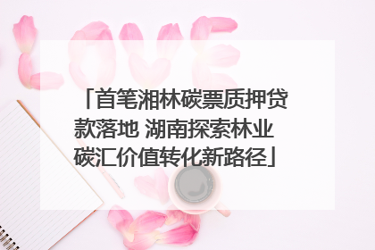 首笔湘林碳票质押贷款落地 湖南探索林业碳汇价值转化新路径