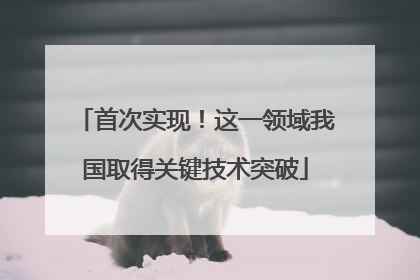 首次实现！这一领域我国取得关键技术突破