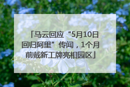 马云回应“5月10日回归阿里”传闻，1个月前戴新工牌亮相园区