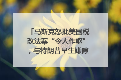 马斯克怒批美国税改法案“令人作呕”，与特朗普早生嫌隙？｜国际识局