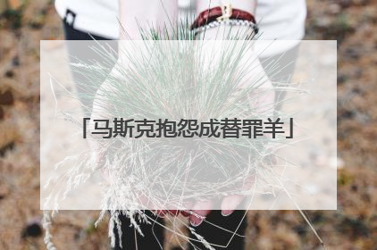 马斯克抱怨成替罪羊