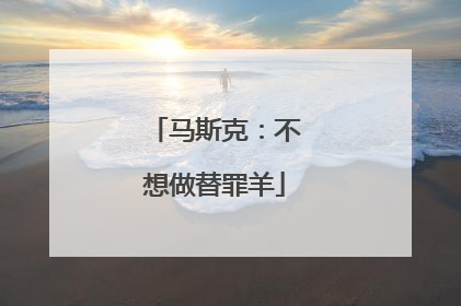 马斯克：不想做替罪羊
