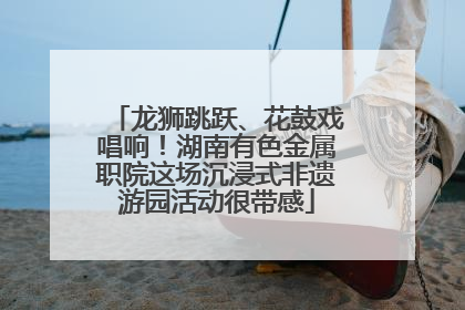 龙狮跳跃、花鼓戏唱响！湖南有色金属职院这场沉浸式非遗游园活动很带感