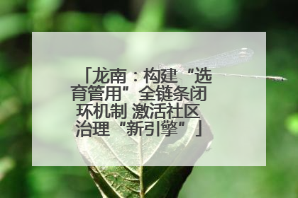 龙南：构建“选育管用”全链条闭环机制 激活社区治理“新引擎”