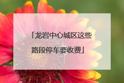 龙岩中心城区这些路段停车要收费