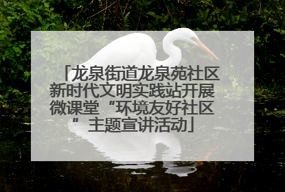 龙泉街道龙泉苑社区新时代文明实践站开展微课堂“环境友好社区”主题宣讲活动