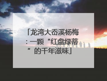 龙湾大岙溪杨梅：一颗“红盘绿蒂”的千年滋味