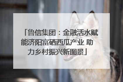 鲁信集团：金融活水赋能济阳富硒西瓜产业 助力乡村振兴新图景