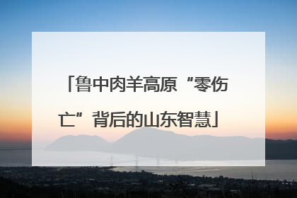 鲁中肉羊高原“零伤亡”背后的山东智慧