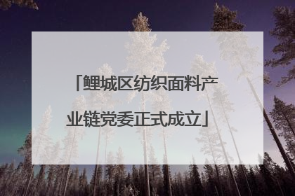 鲤城区纺织面料产业链党委正式成立