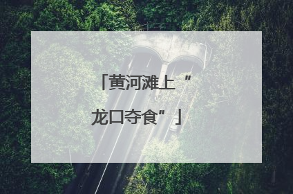 黄河滩上“龙口夺食”