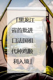 黑龙江省首批进口法国祖代种鸡顺利入境