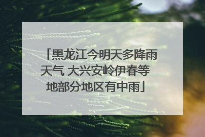 黑龙江今明天多降雨天气 大兴安岭伊春等地部分地区有中雨