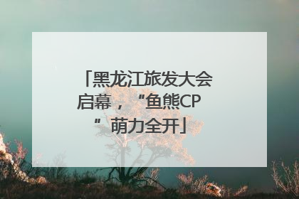 黑龙江旅发大会启幕，“鱼熊CP”萌力全开