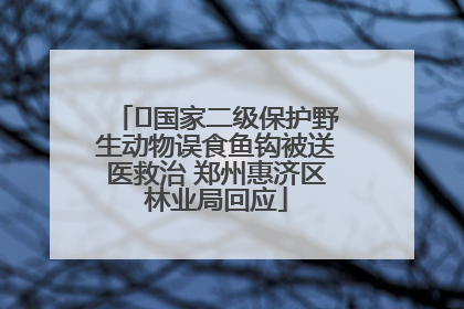 ﻿国家二级保护野生动物误食鱼钩被送医救治 郑州惠济区林业局回应