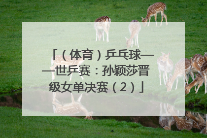 （体育）乒乓球——世乒赛：孙颖莎晋级女单决赛（2）