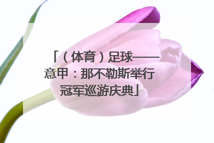 （体育）足球——意甲：那不勒斯举行冠军巡游庆典
