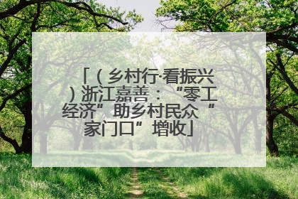 （乡村行·看振兴）浙江嘉善：“零工经济”助乡村民众“家门口”增收