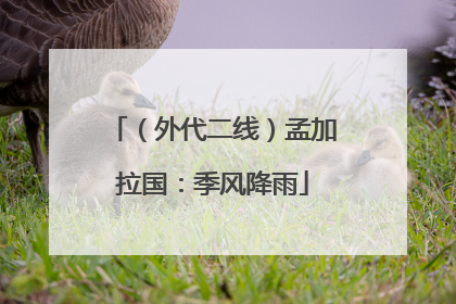 （外代二线）孟加拉国：季风降雨
