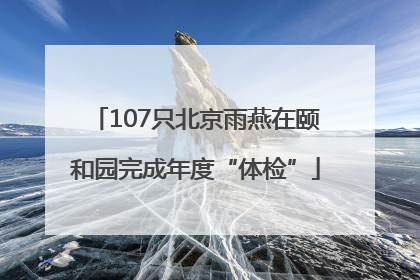 107只北京雨燕在颐和园完成年度“体检”