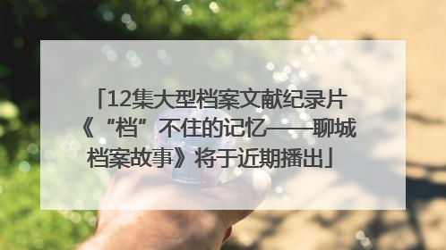 12集大型档案文献纪录片《“档”不住的记忆——聊城档案故事》将于近期播出