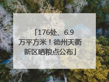 176处、6.9万平方米！德州天衢新区晒粮点公布