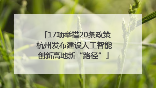 17项举措20条政策 杭州发布建设人工智能创新高地新“路径”