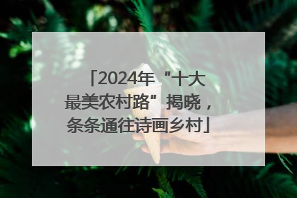 2024年“十大最美农村路”揭晓，条条通往诗画乡村