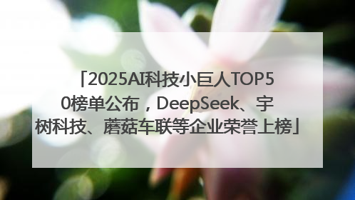 2025AI科技小巨人TOP50榜单公布，DeepSeek、宇树科技、蘑菇车联等企业荣誉上榜