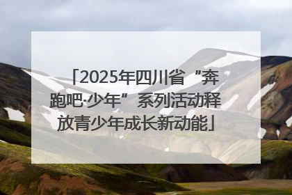2025年四川省“奔跑吧·少年”系列活动释放青少年成长新动能